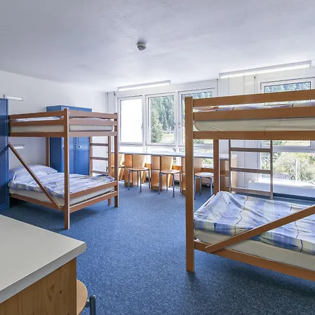 Vandrarhem Hostel Inn Lodge *